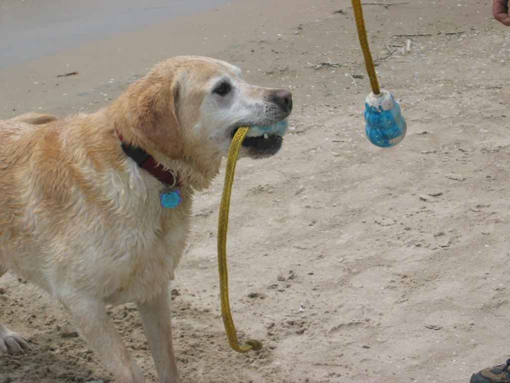 Madison and his water toy