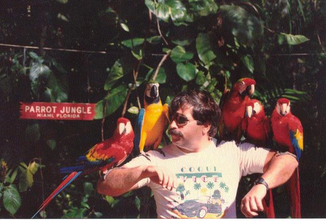 Accessorizing with macaws