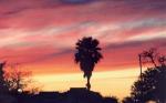 Sunset my marina Clear Lake TX