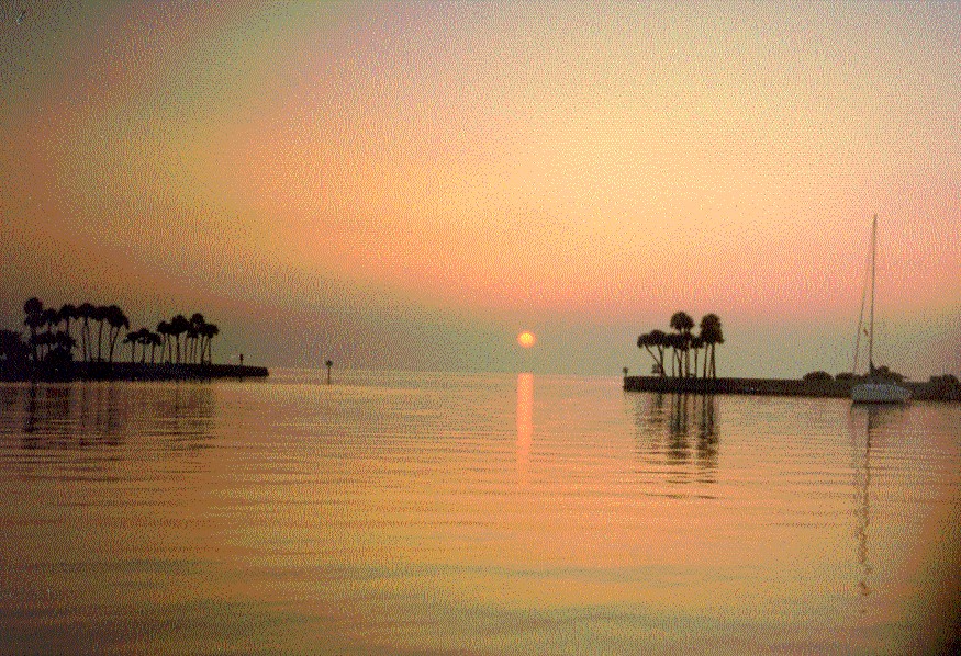 Sunset Tampa Bay