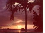 Sunset Paradise Island Bahamas