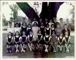 Courtland Park (Strathmore Annex) Grade II -1957